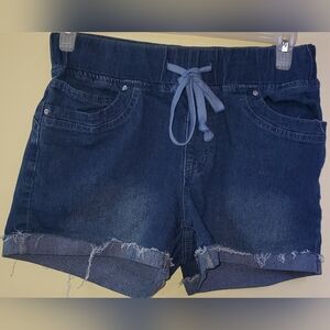 Womens Blue Shein Curve Shorts Size 0XL
